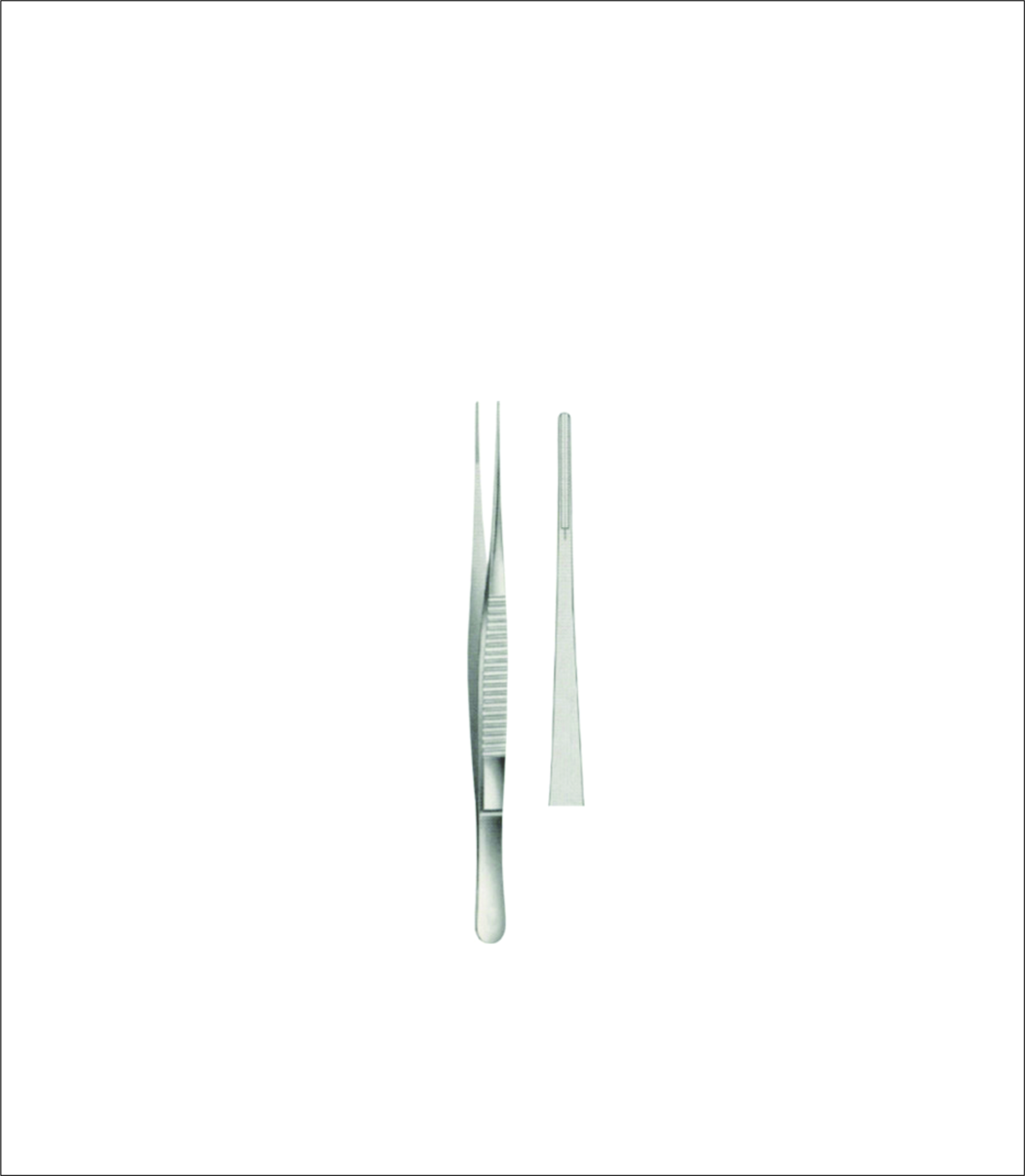 Dissecting Forceps