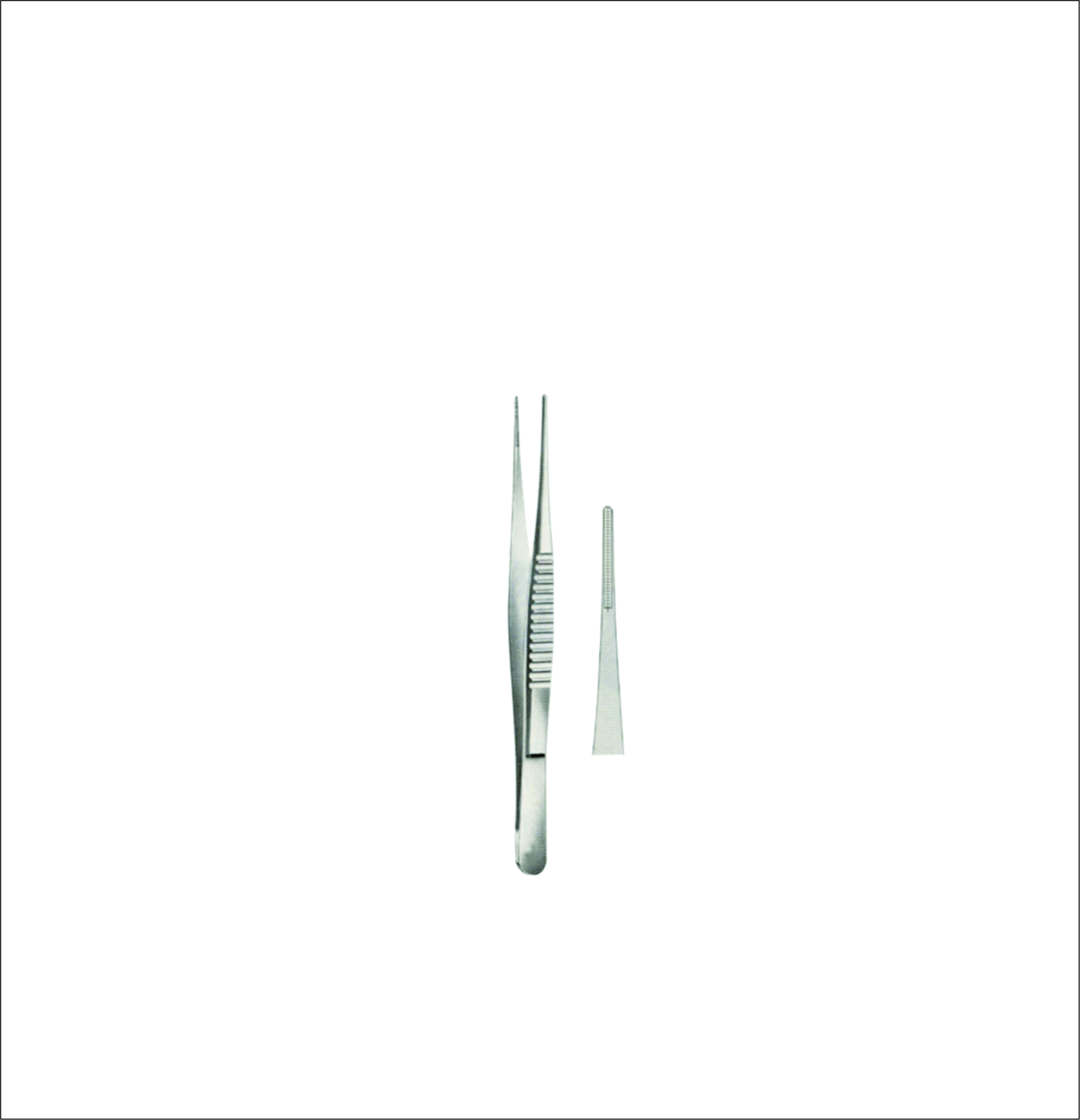 Dissecting Forceps
