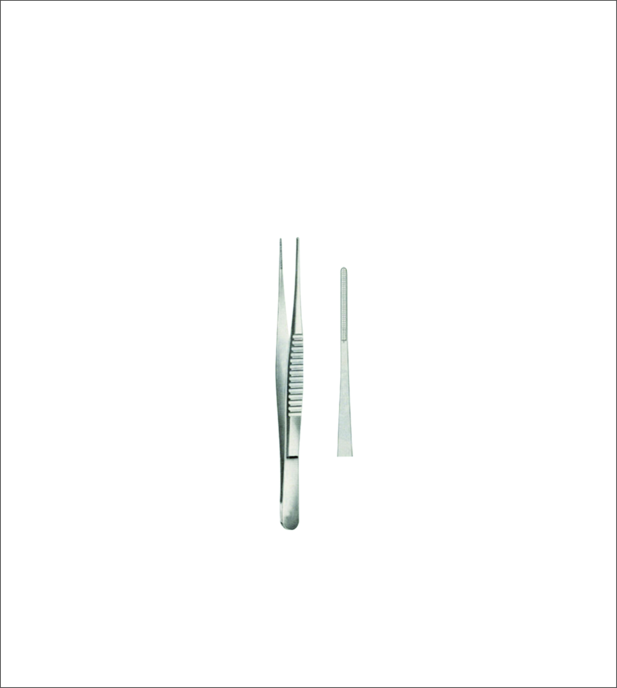 Dissecting Forceps