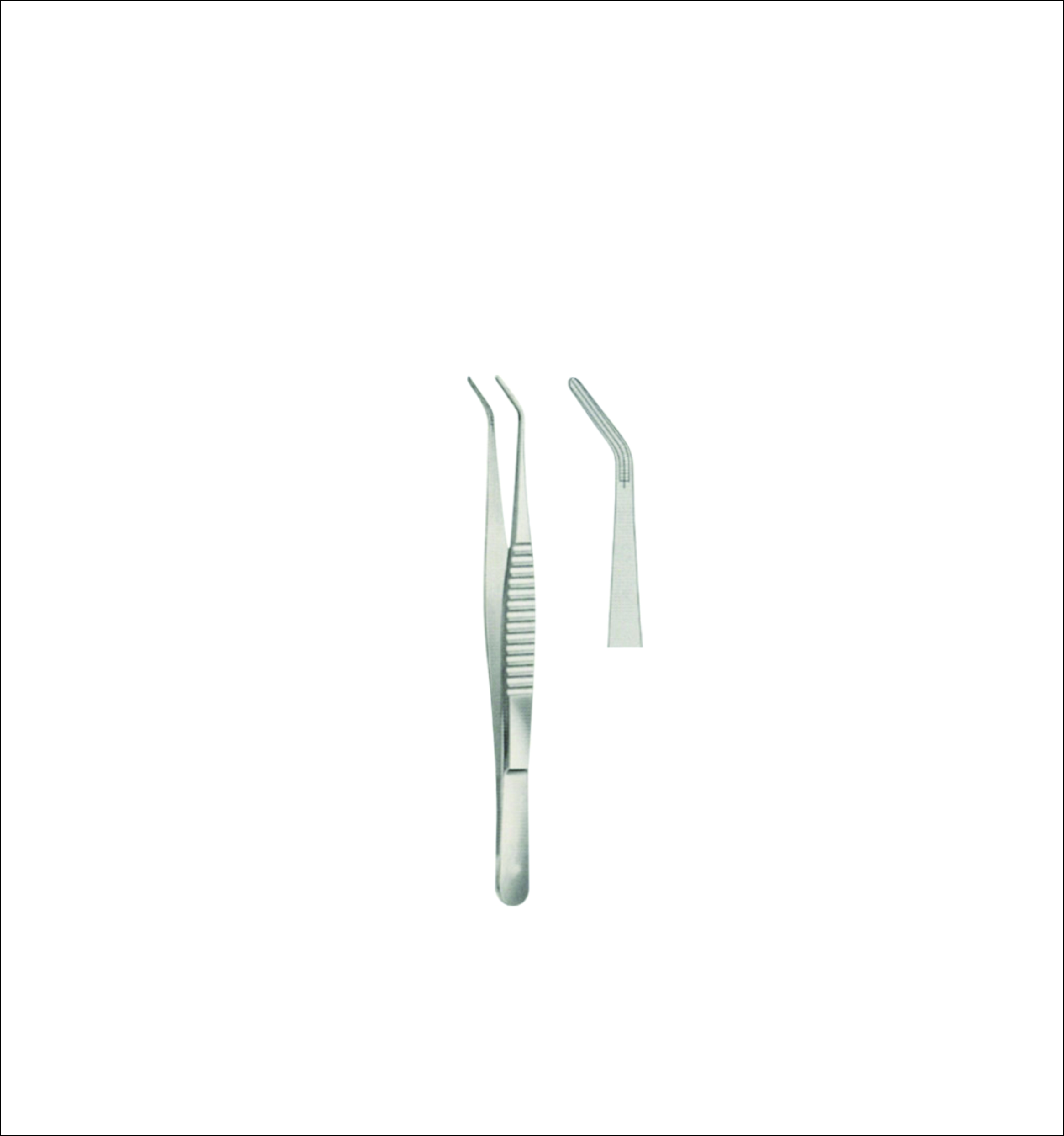 Dissecting Forceps