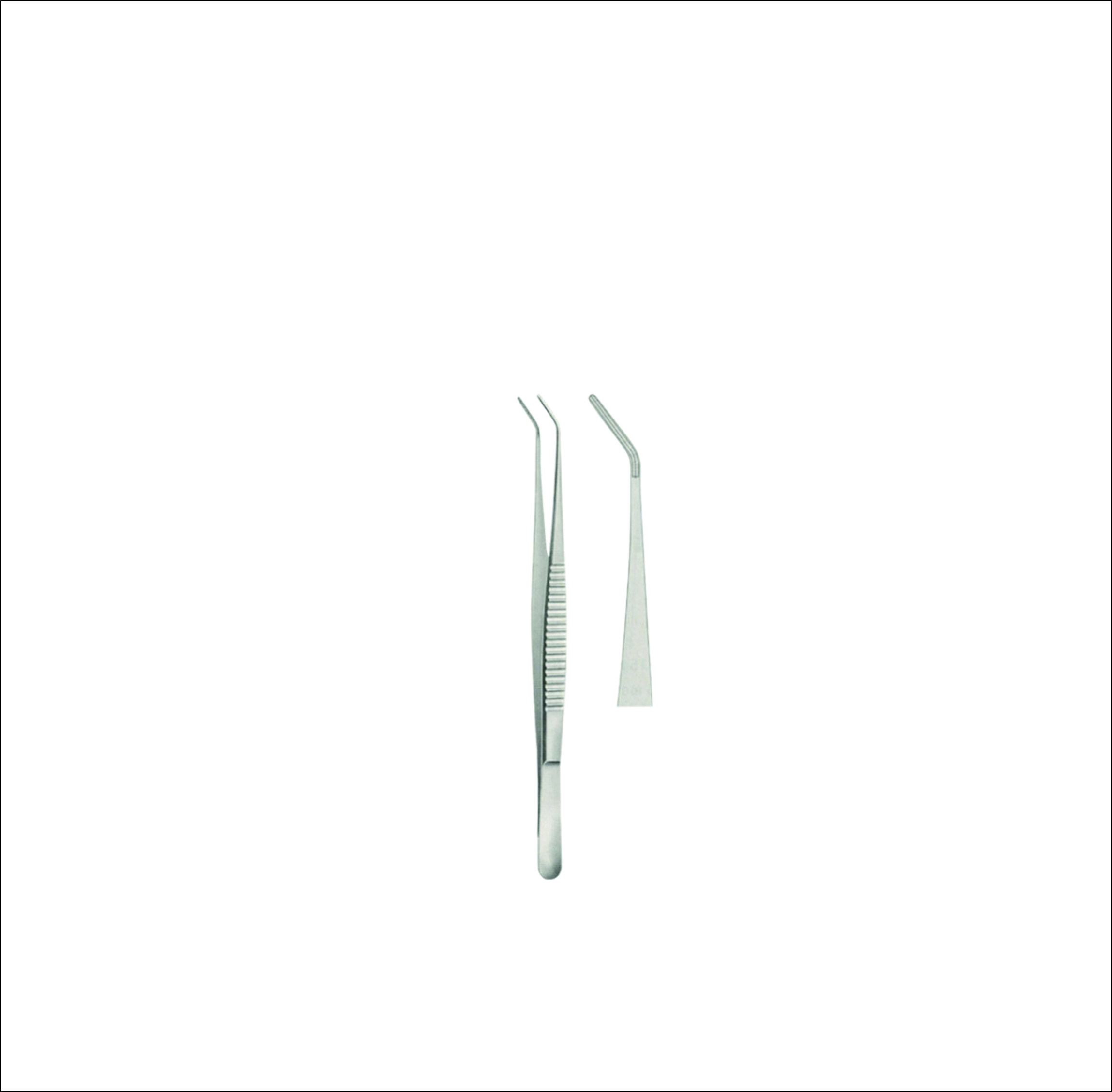 Dissecting Forceps