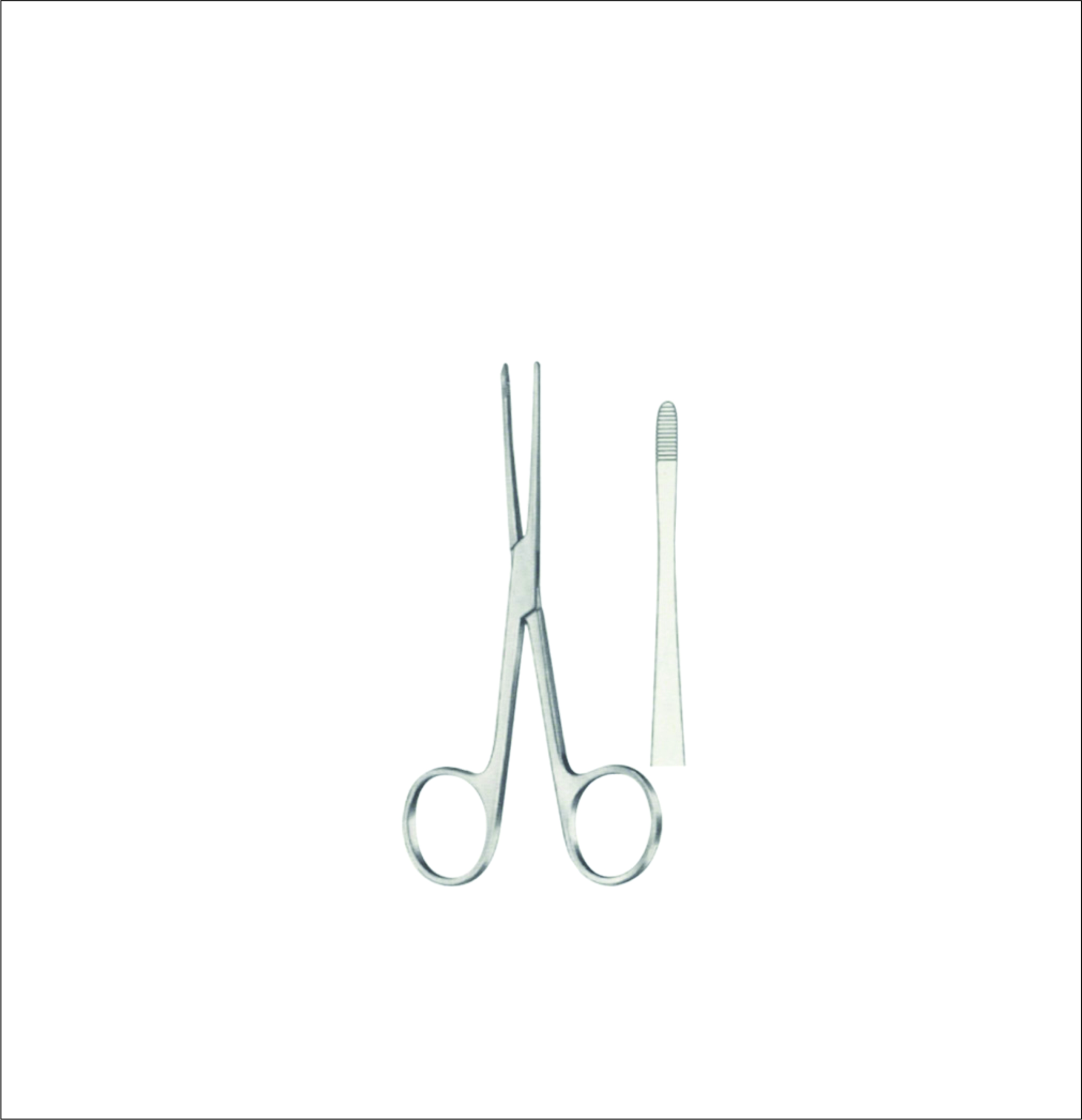 Dressing Forceps