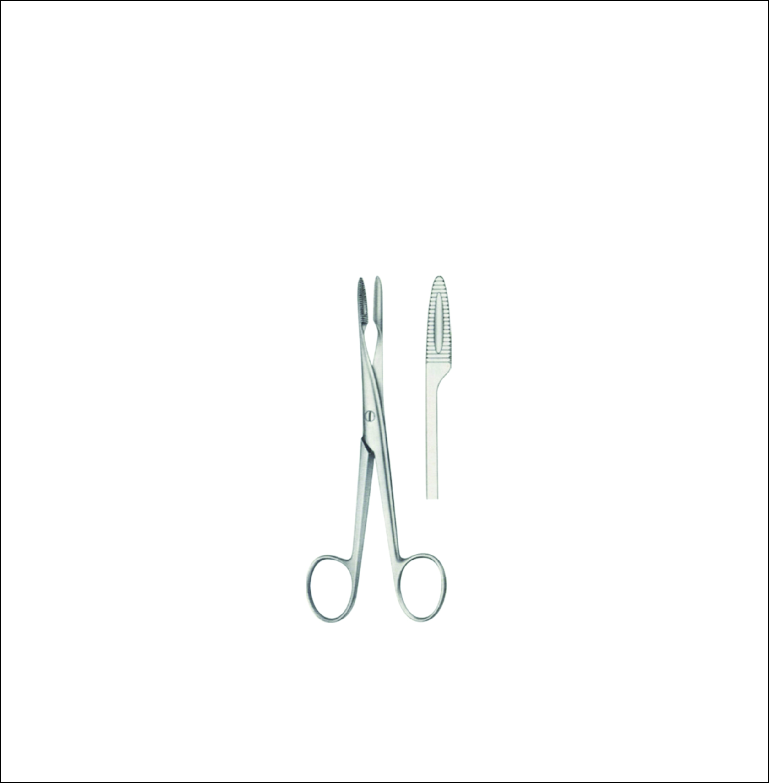 Dressing Forceps