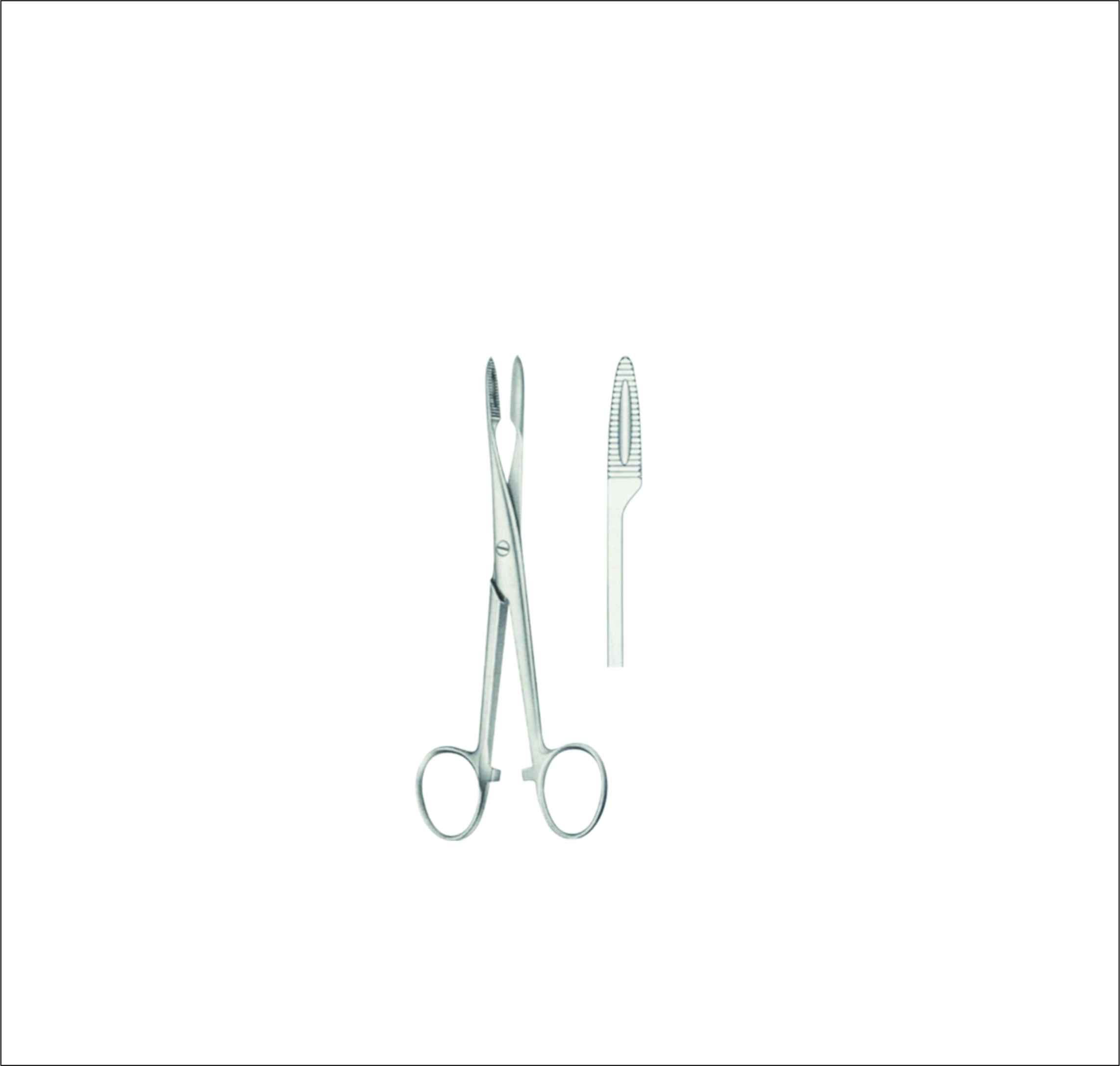Dressing Forceps