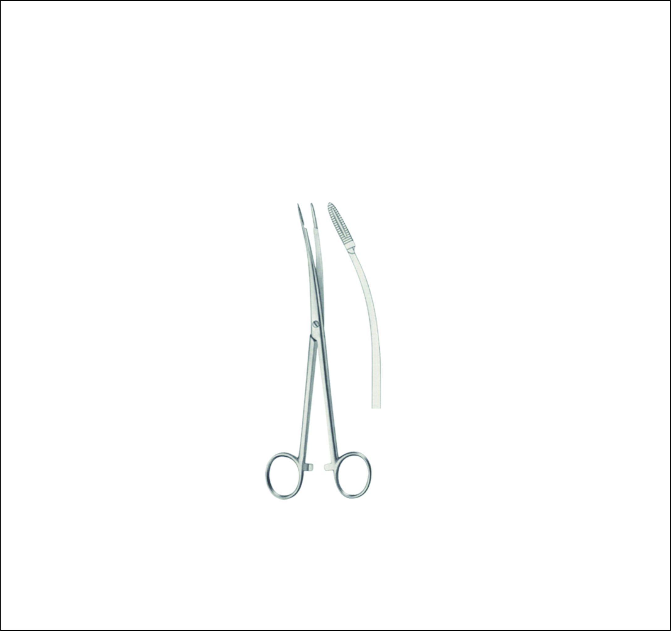Dressing Forceps