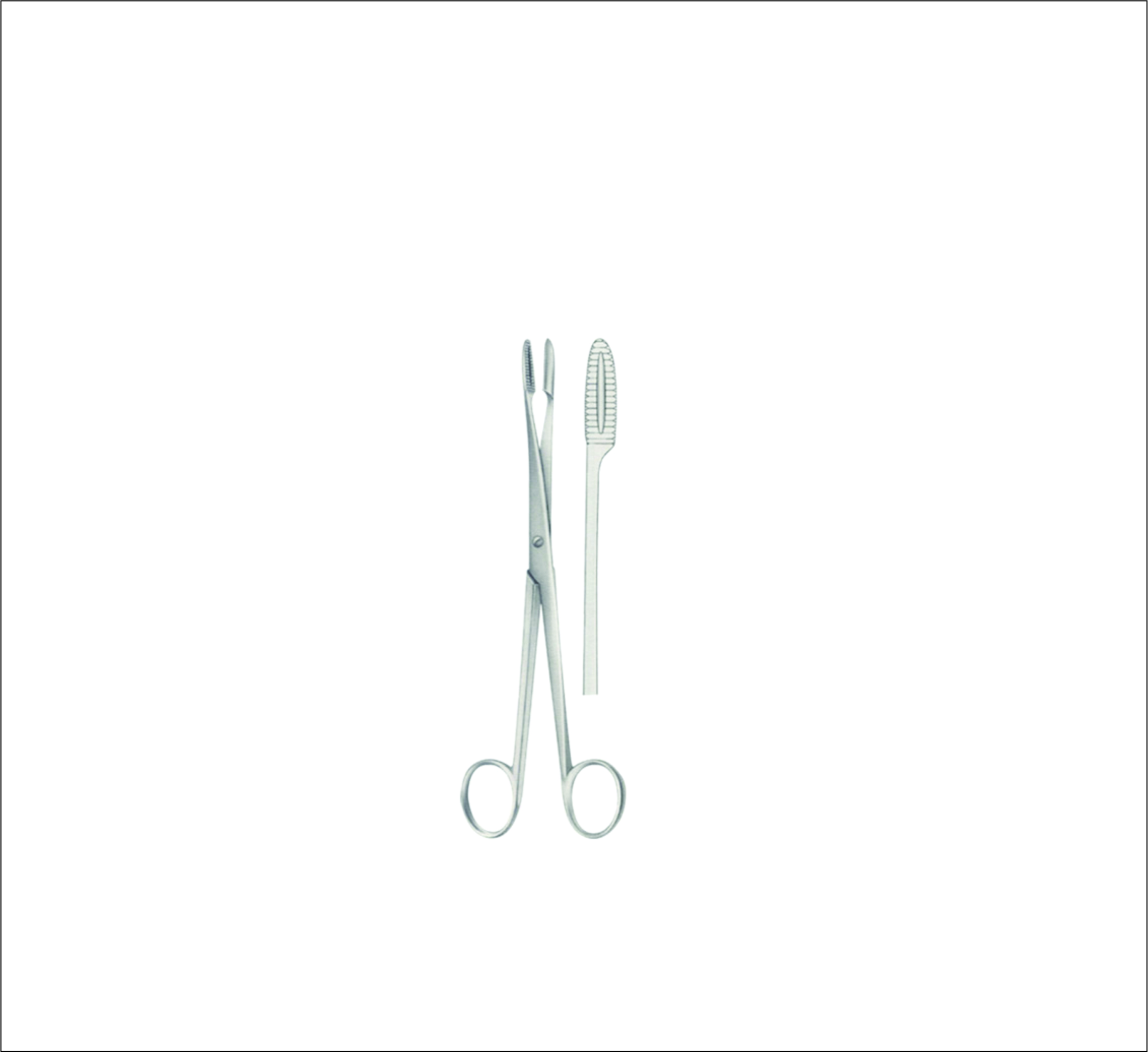 Dressing Forceps