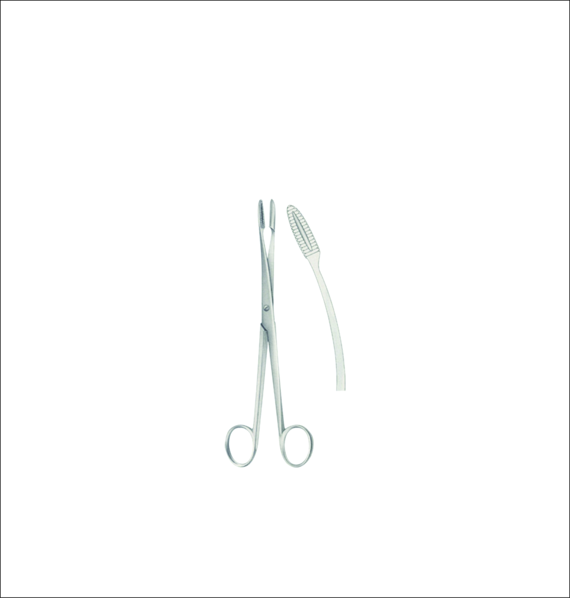 Dressing Forceps