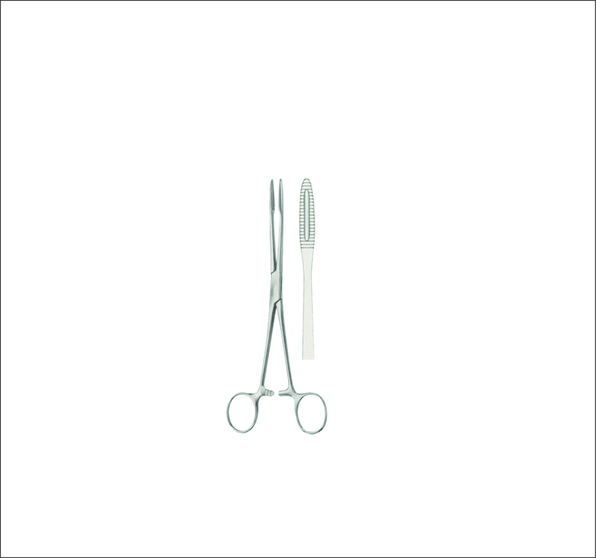 Dressing Forceps