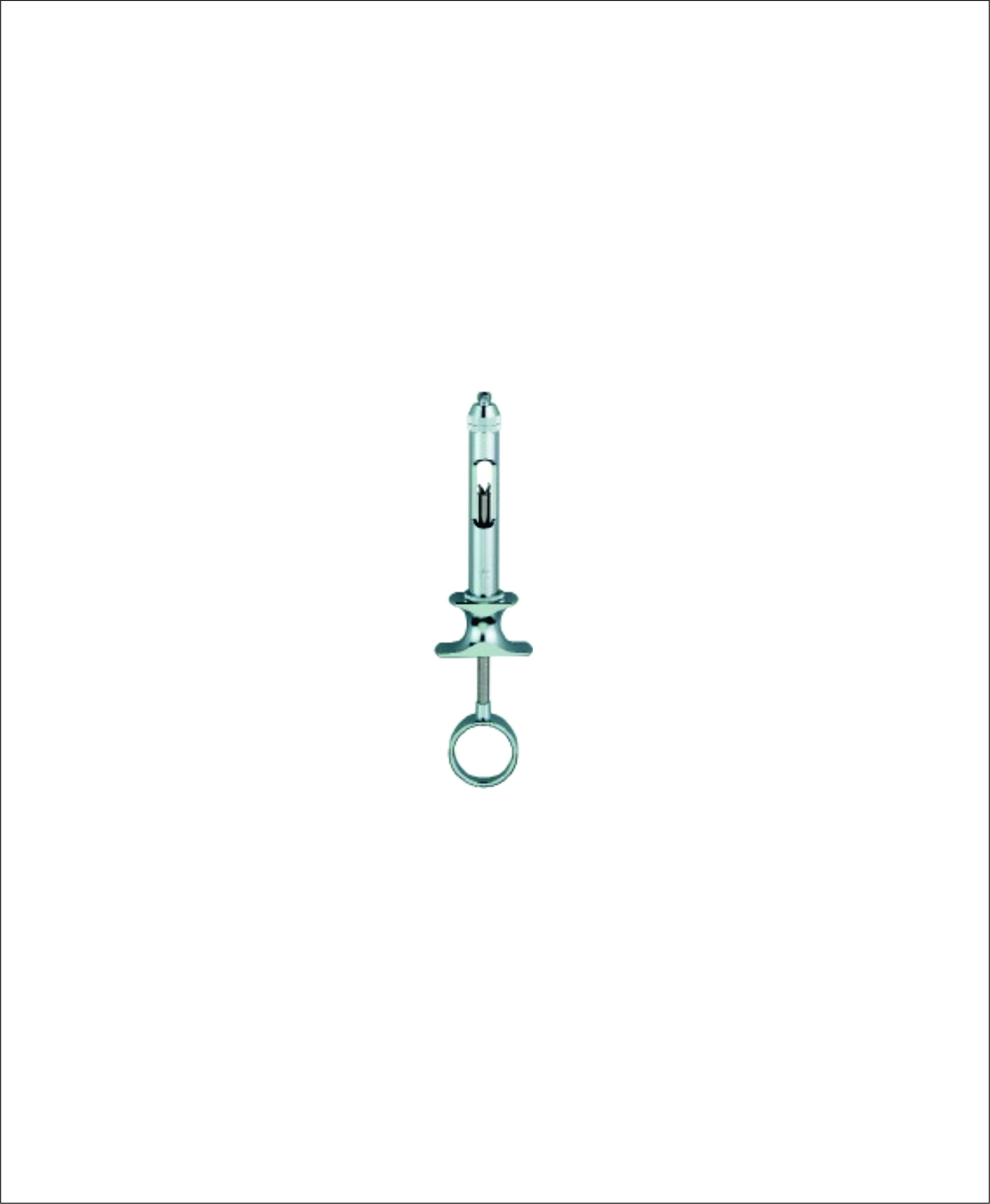 Dental Syringe