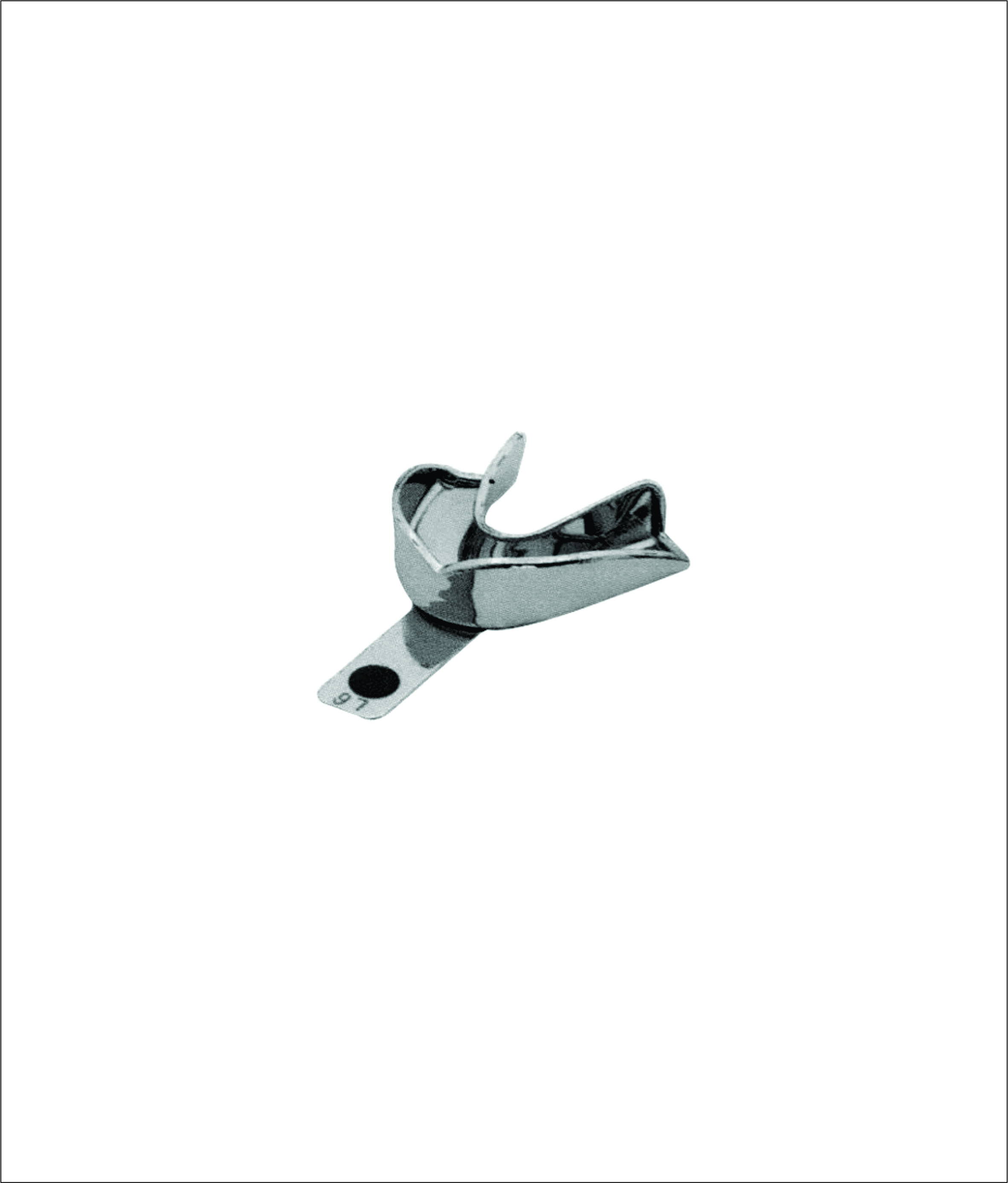 Impression Tray Stainless Steel