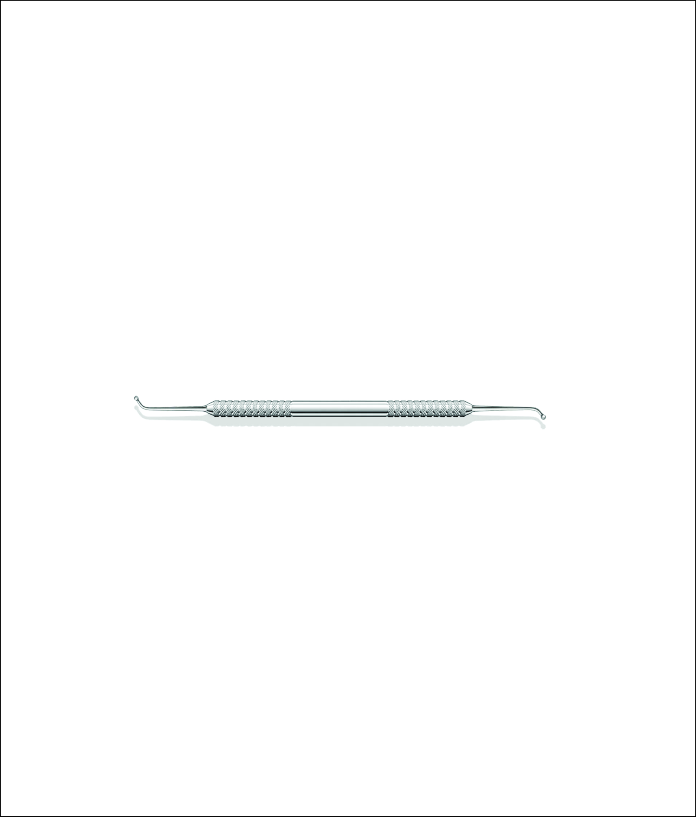 Dental Burnisher