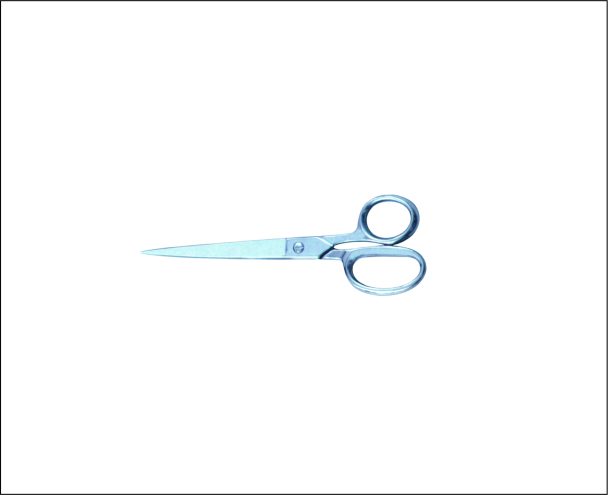Tailor Scissors