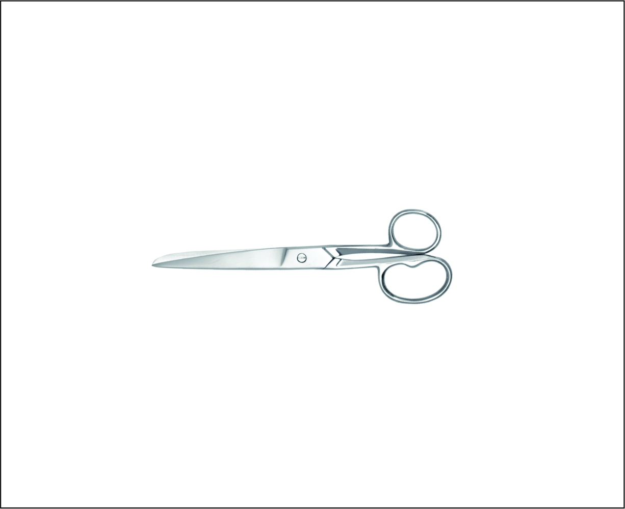 Tailor Scissors