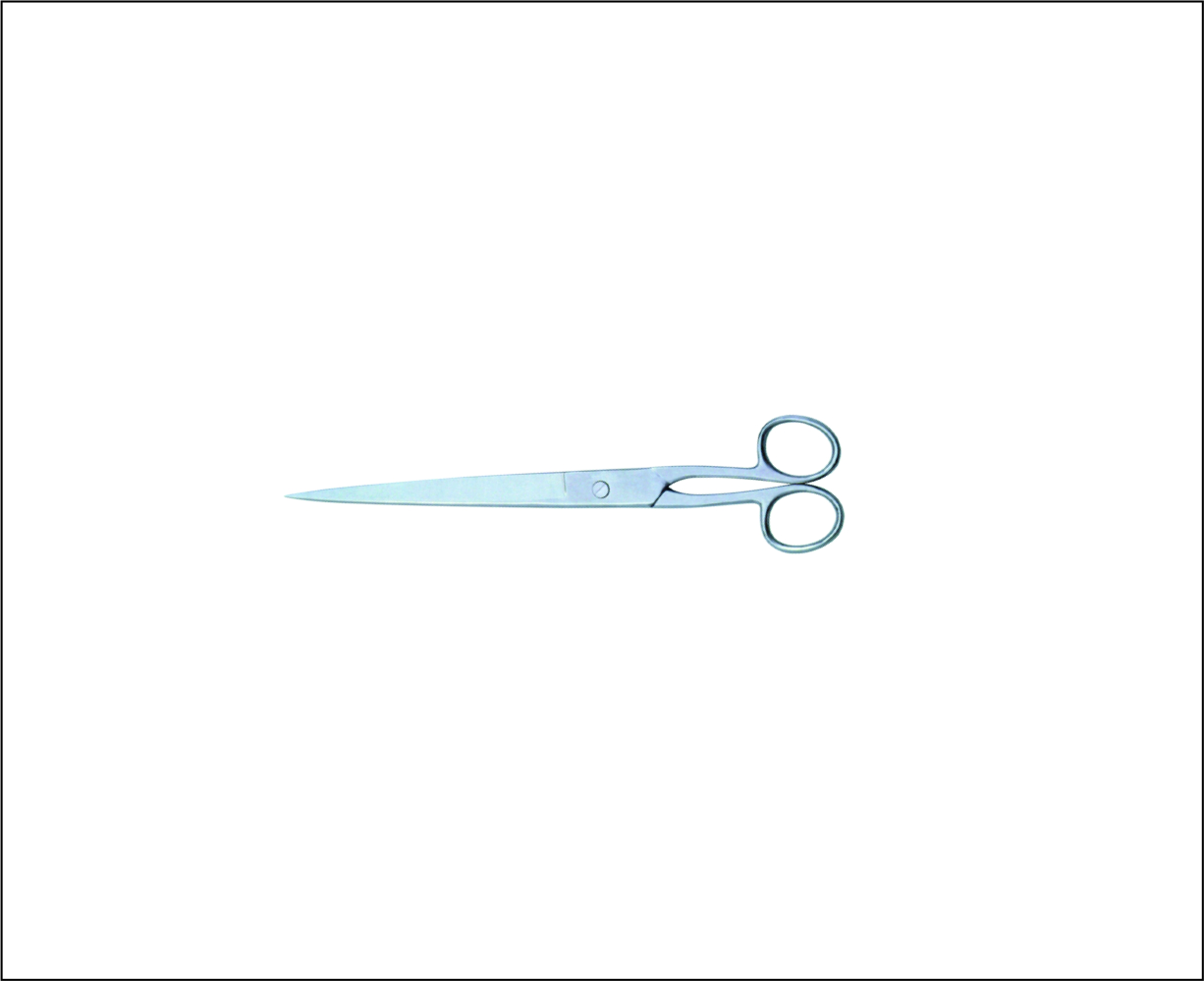 Tailor Scissors
